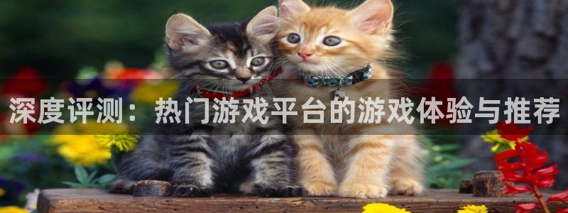 奇亿娱乐平台官网登录：深度评测：热门游戏平台的游戏体验与推荐