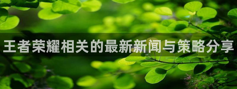 奇亿娱乐app下载|下载地址：王者荣耀相关的最新新闻与策略分